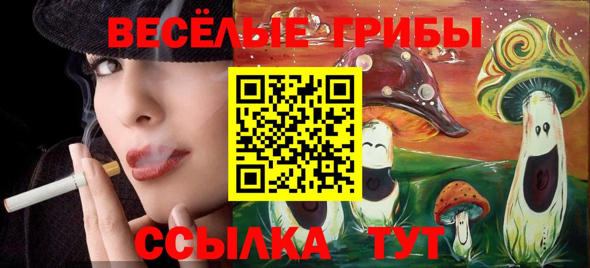 Псилоцибиновые грибы Magic Shrooms Кинешма