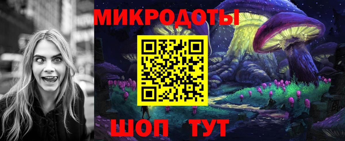 Меф Кинешма