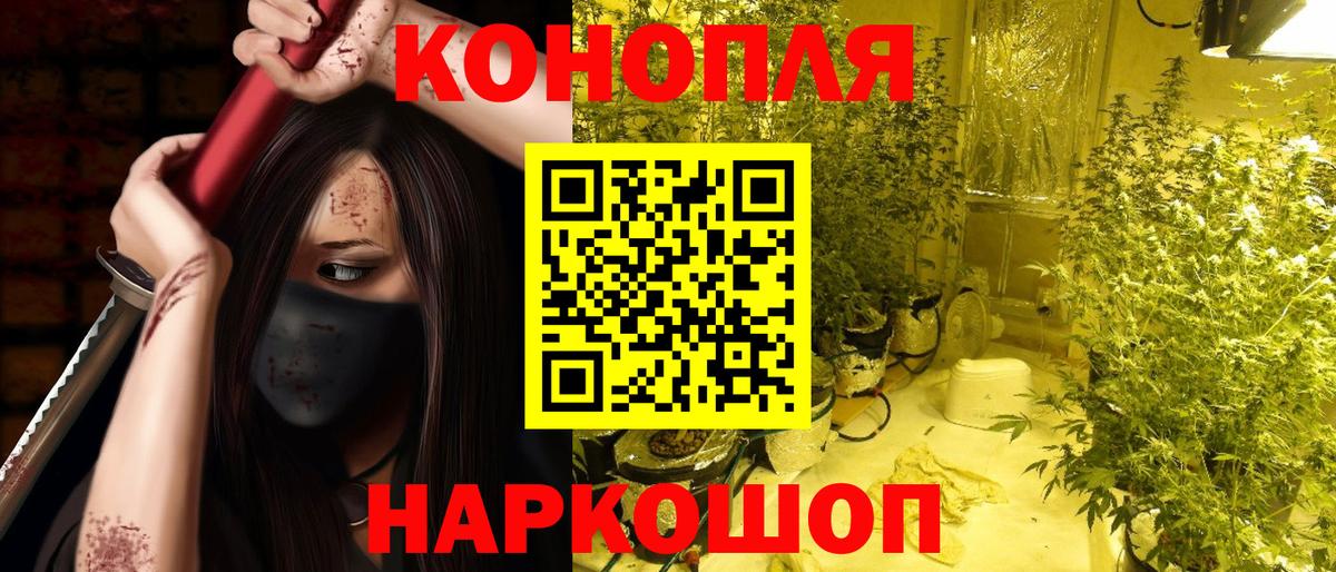 Канабис конопля  Каннабис ГИДРОПОН  Вход с VPN  Кинешма  Бошки Шишки сатива  МАРИХУАНА семена 